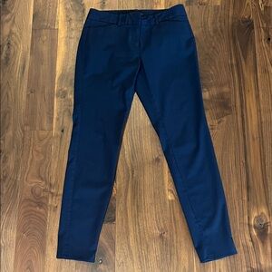 The Limited Deep Blue Exact Stretch Pants